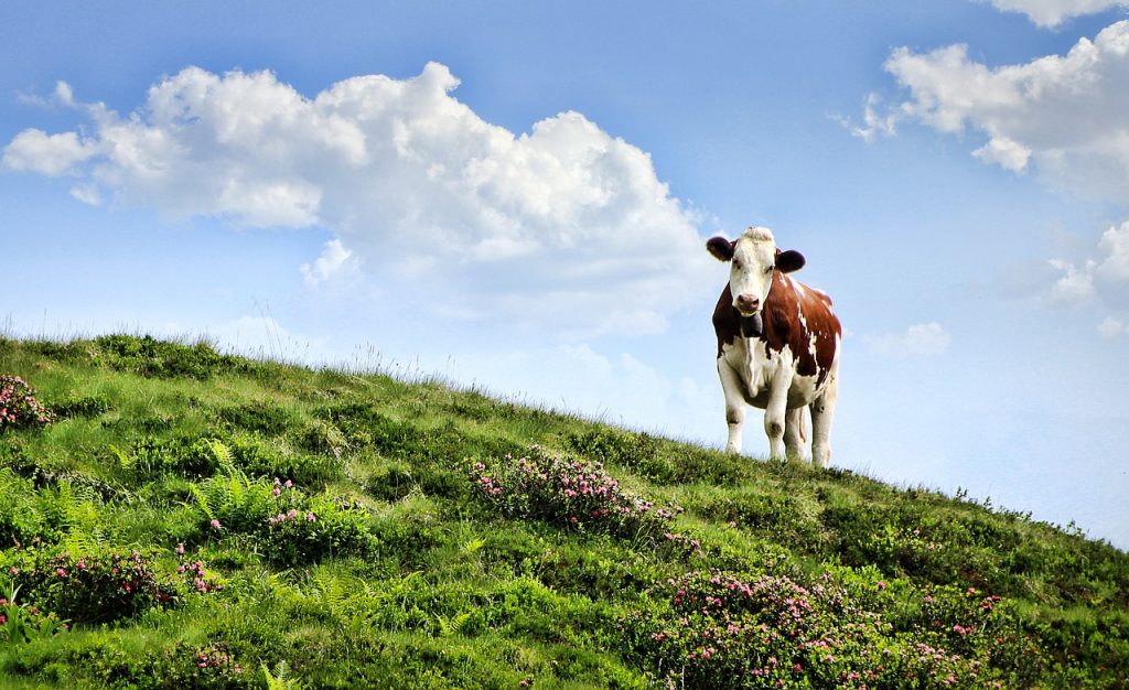 Wir machen Sommerpause